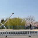 郑州旅游 缩略图 10
