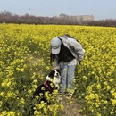 郑州旅游 缩略图 7