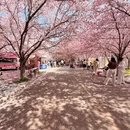 郑州旅游 缩略图 6