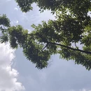 昆明旅游 缩略图 2