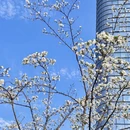 台州旅游 缩略图 3