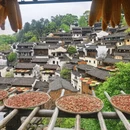 黄山旅游 缩略图 11