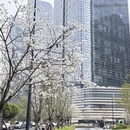 台州旅游 缩略图 8