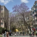 昆明旅游 缩略图 1