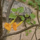 广州旅游 缩略图 4