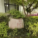 杭州旅游 缩略图 7