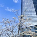 台州旅游 缩略图 4