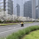 台州旅游 缩略图 9