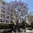 昆明旅游 缩略图 4