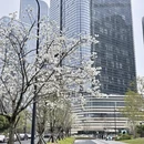 台州旅游 缩略图 6