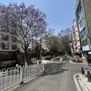 昆明旅游 缩略图 3