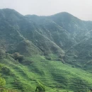 黄山旅游 缩略图 4