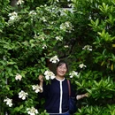 杭州旅游 缩略图 12