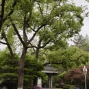 杭州旅游 缩略图 6