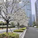 台州旅游 缩略图 5