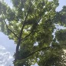 昆明旅游 缩略图 4