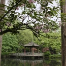 杭州旅游 缩略图 1