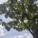昆明旅游 缩略图 3