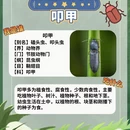 杭州旅游 缩略图 6