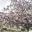 北京旅游 缩略图 13