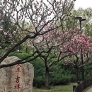 北京旅游 缩略图 8