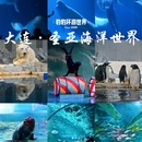 大连旅游 缩略图 12