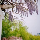 北京旅游 缩略图 15