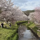 北京旅游 缩略图 1