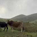 阳江旅游 缩略图 11