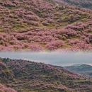 宁波旅游 缩略图 5