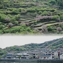 宁波旅游 缩略图 6
