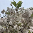 北京旅游 缩略图 4