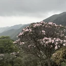 阳江旅游 缩略图 5