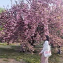 北京旅游 缩略图 13