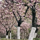 北京旅游 缩略图 8