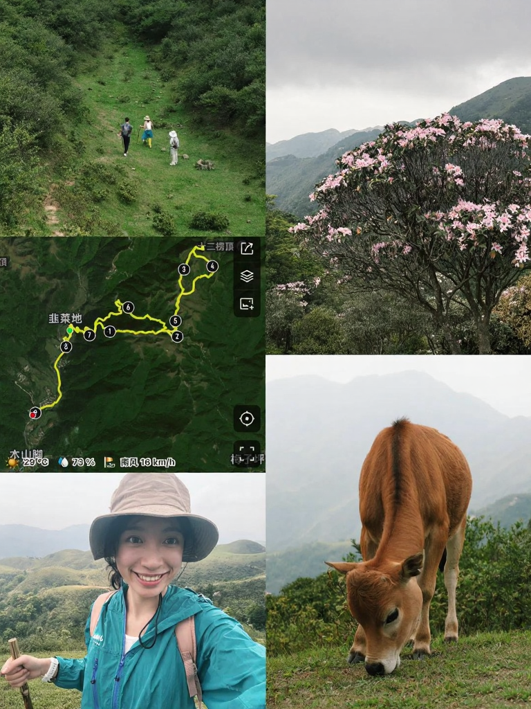 阳江旅游