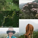 阳江旅游 缩略图 1