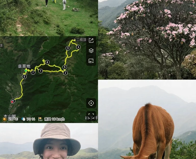阳江旅游 1