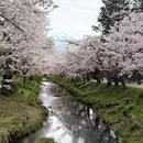 北京旅游 缩略图 2