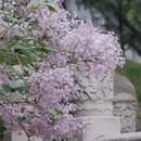 北京旅游 缩略图 18
