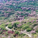 宁波旅游 缩略图 4
