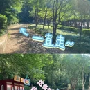 南京旅游 缩略图 6