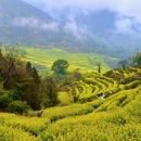 黄山旅游 缩略图 2