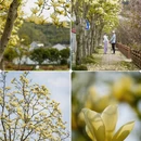 杭州旅游 缩略图 5
