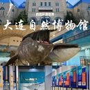 大连旅游 缩略图 8
