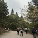 阳江旅游 缩略图 8