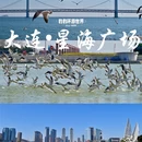 大连旅游 缩略图 10