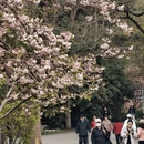北京旅游 缩略图 15