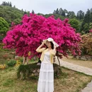 黄山旅游 缩略图 15