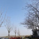 青岛旅游 缩略图 2
